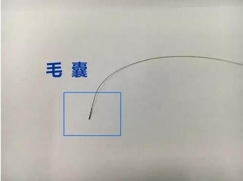 想做個(gè)人親子鑒定，頭發(fā)可以鑒定嗎？