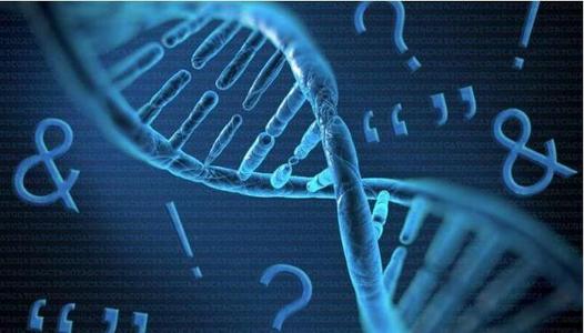 上戶(hù)口親子鑒定流程有那些呢？